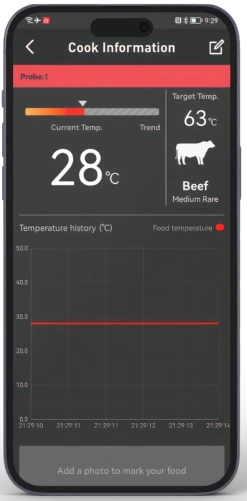 HerQs Pin Pro Thermometer -BBQ Verkoop image 1088
