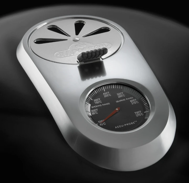 Big Green Egg Large + Nest 3 Big Green Egg Large + Nest - Image 3