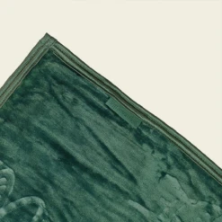 Big Green Egg Fleecedeken -BBQ Verkoop image 518