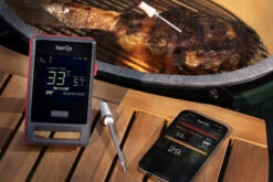 HerQs Pin Pro Thermometer -BBQ Verkoop image 604