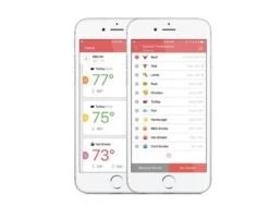 Inkbird IBT-6XS -BBQ Verkoop image 661