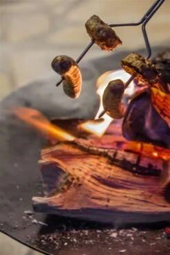 Petromax Campfire Skewer (2 Stuks) -BBQ Verkoop image 922